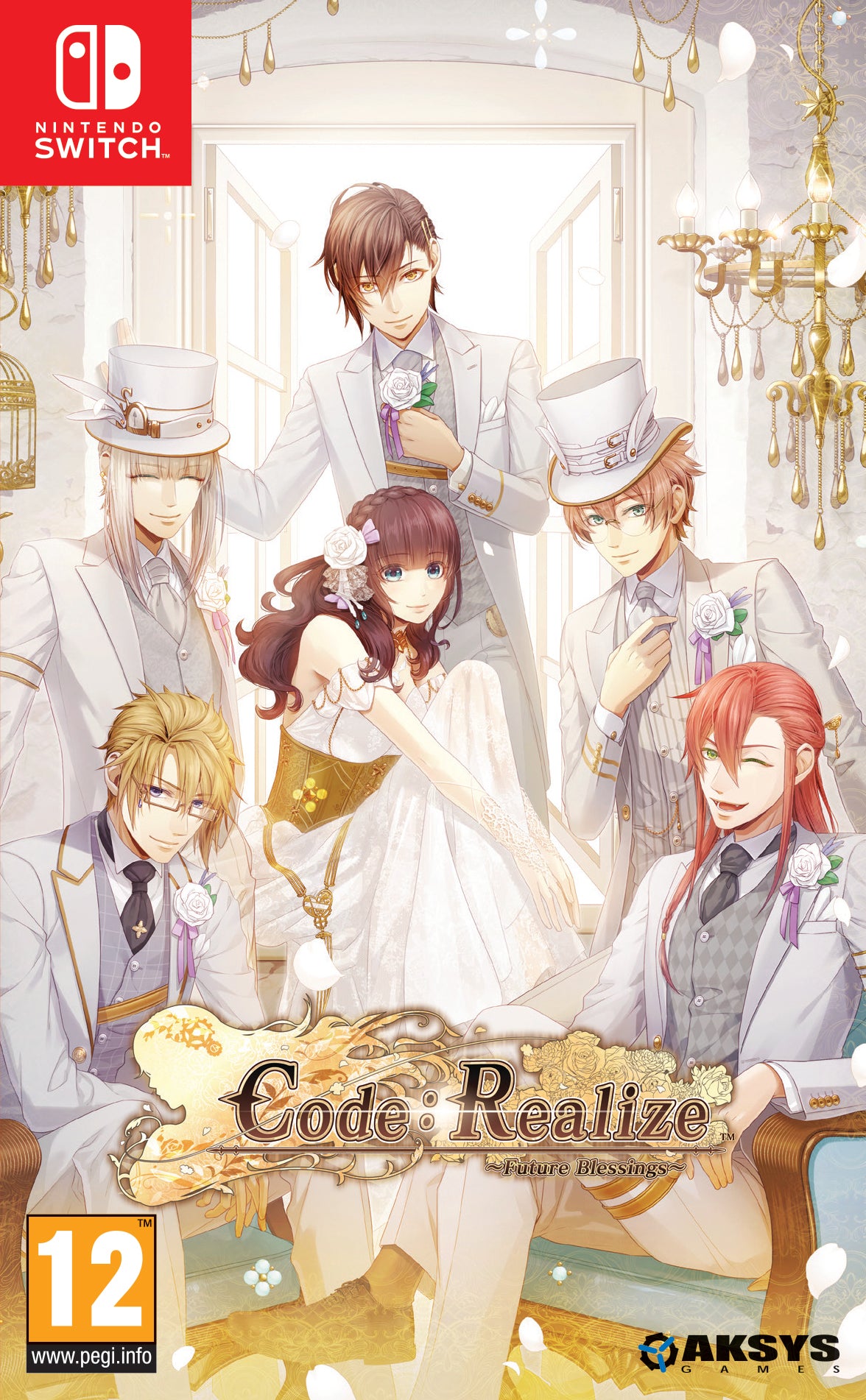 Code: Realize  Future Blessings    Nintendo Switch Nintendo Switch Spil Geekd Dk