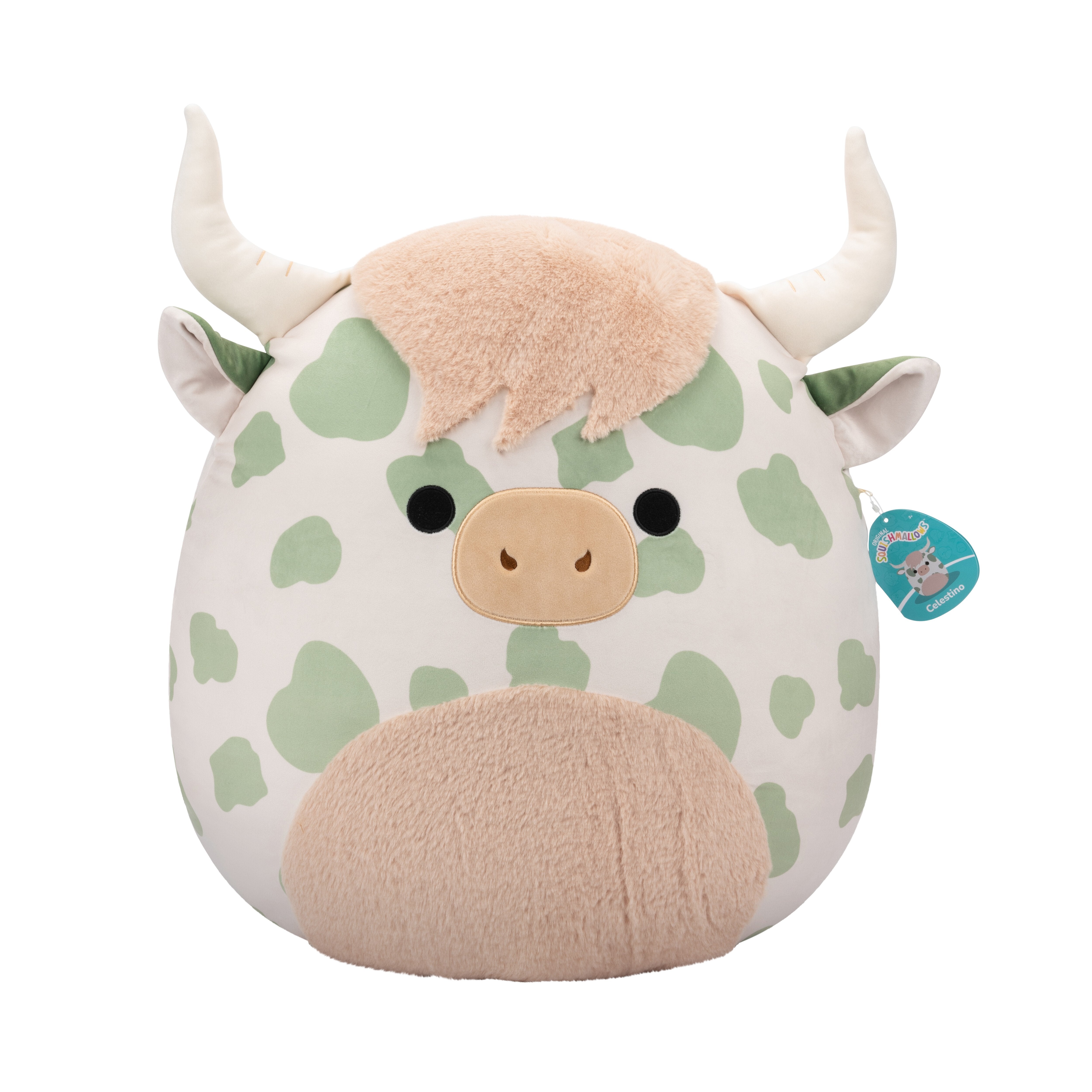 Squishmallows Celestino Højlandsko Bamse   50 Cm Geekd Dk